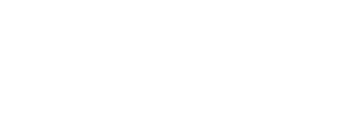 braxlogowhite